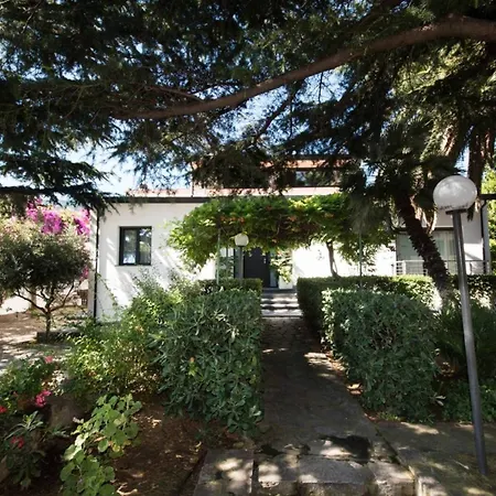 Il Cedro *